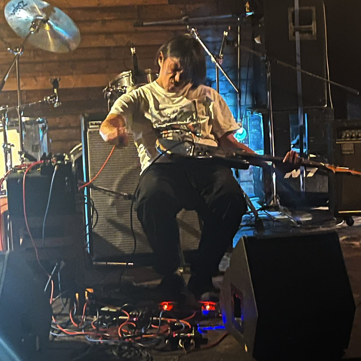 The Ratel tweet media