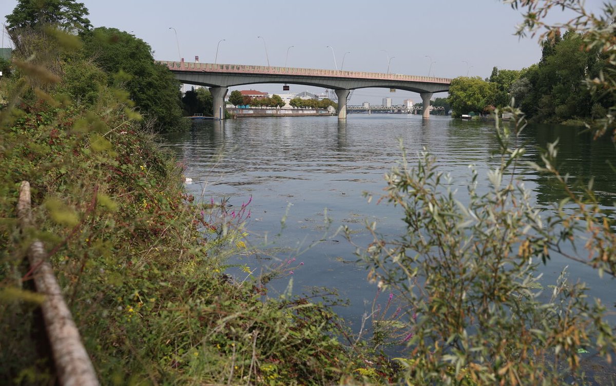 Choisy-le-Roi (94), 4 corps repêchés : Le suspect d'origine maghrébine serait adepte d'un islam rigoriste refoulant son homosexualité et a eu une relation sexuelle avec au moins une victime (MàJ. Un 6eme corps repêché)

 fdesouche.com/2025/09/26/cho…