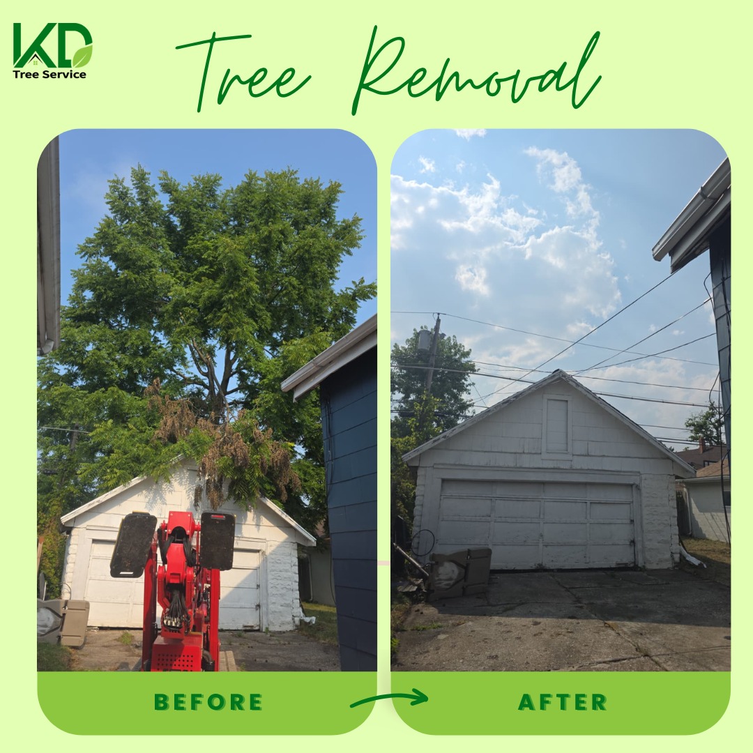 kdtreealbanyny's tweet image. 🌿 Hello Friday! Another tree safely removed, another happy property owner! KD Tree Service clears big or small trees, making yards safer, open, and functional. Precision, care, and safety every time!
#TreeRemoval #TreeService #TreeCareExperts #TreeWorkDoneRight