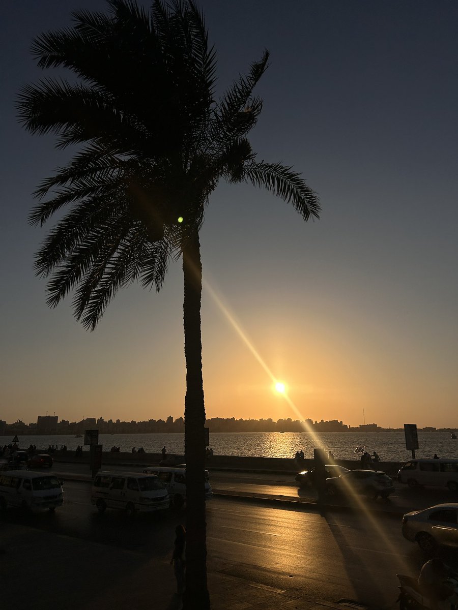 أحب الجمعة الحنونة العادية التي أمارسها في البيت، وأحب دعاء الساعة الأخيرة من عصرية الجمعة، وأحب الجمعة التي أكون فيها مزدحمة واضطر للهرب من تجمع العائلة المحبب، لأنني أيضًا في سعي محبب.
انشغالك رزق، أوقات فراغك رزق، جلوسك منفردًا رزق، ولمة العائلة حولك رزق 🤍