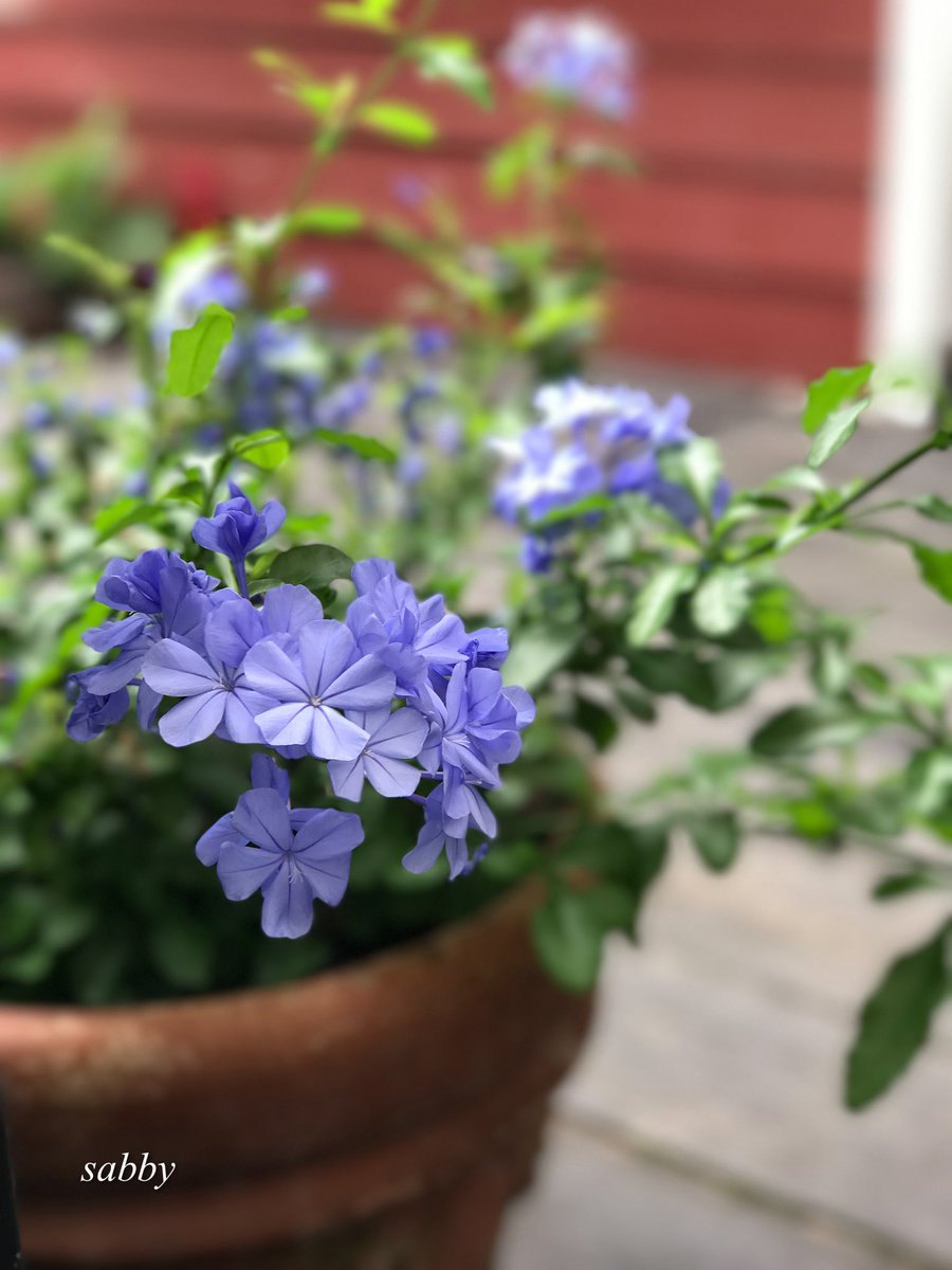 穏やかなひととき♡*°