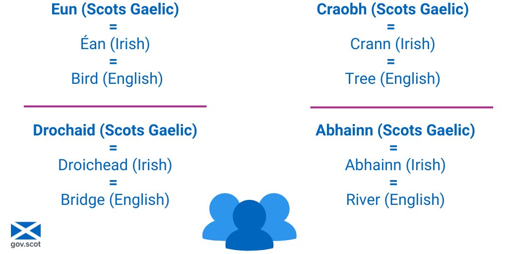 scotgovireland's tweet image. Today on #IntlDayOfLanguages we celebrate the living traditions of Gaeilge &amp;amp; Gàidhlig - two branches of the same Gaelic tree, reaching across the waters between Ireland &amp;amp; Scotland.

From shared roots to modern revival, our languages embody our cultural bonds.🤝#LanguageDiversity