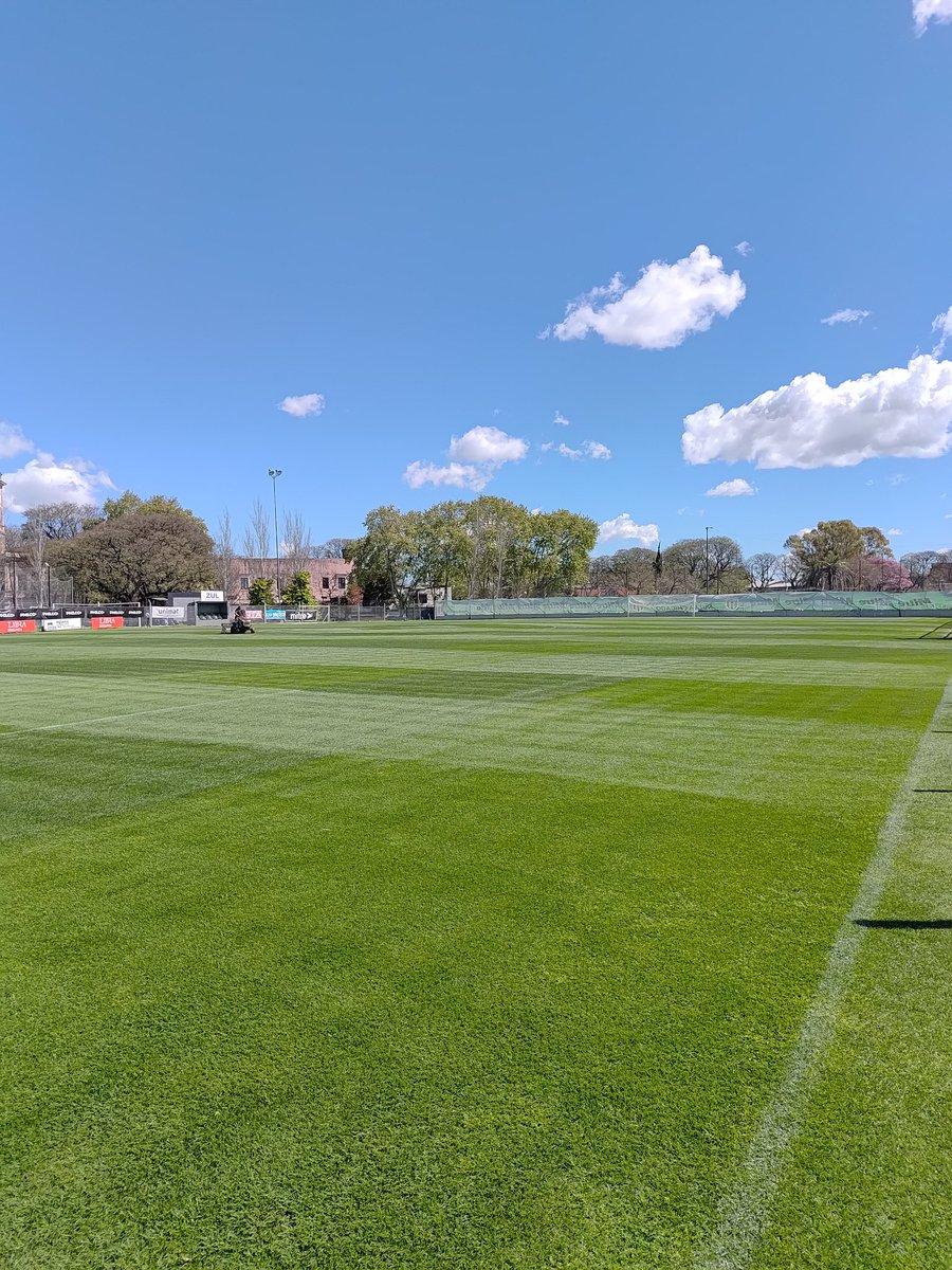 Emi Erba tweet media