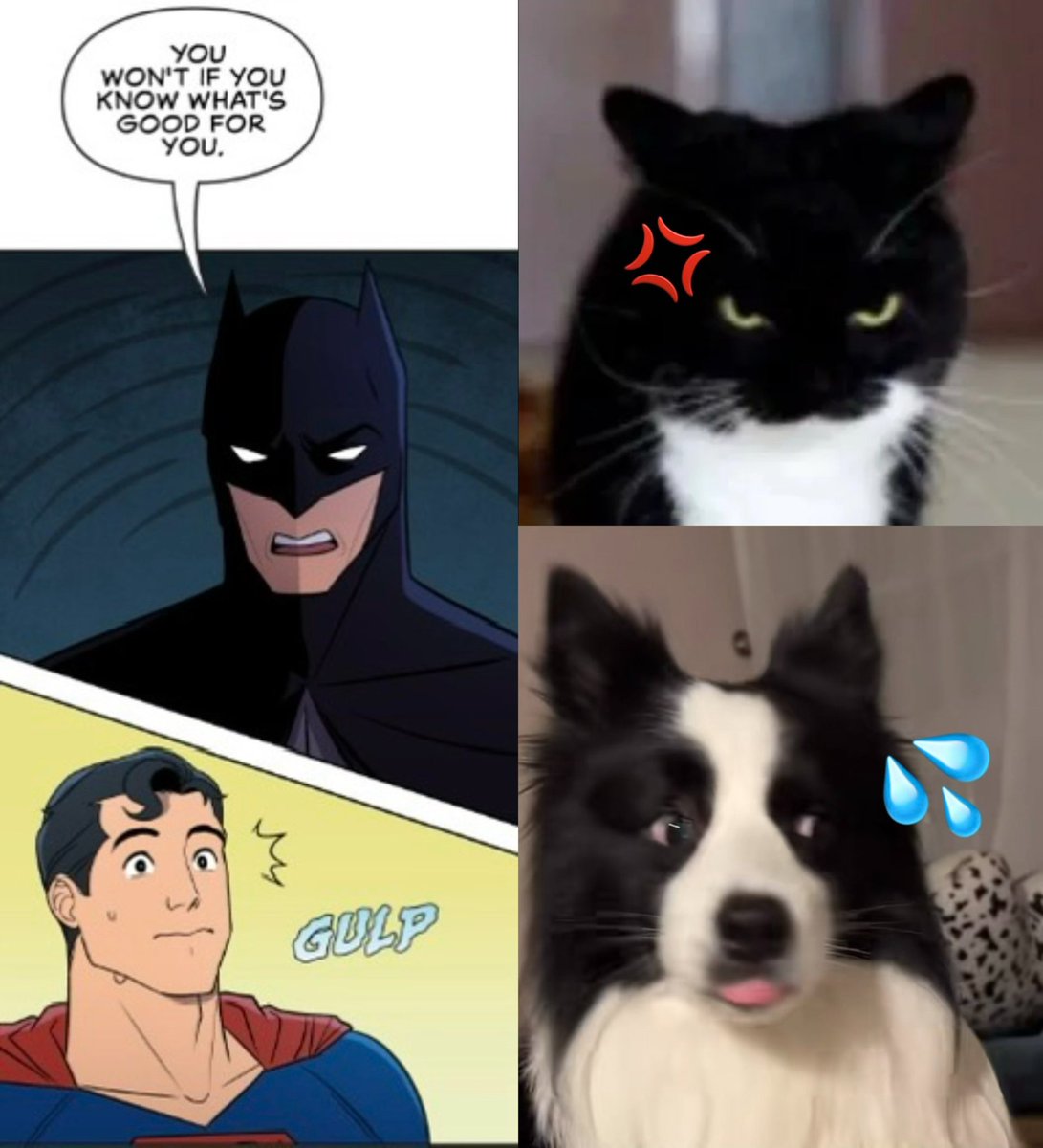 aniluojl's tweet photo. ＃superbat My understanding of the latest episode of WFA: https://t.co/5sVXFPove4