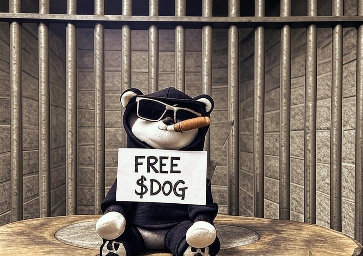 ThePolarFox 🧡 $DOG tweet media