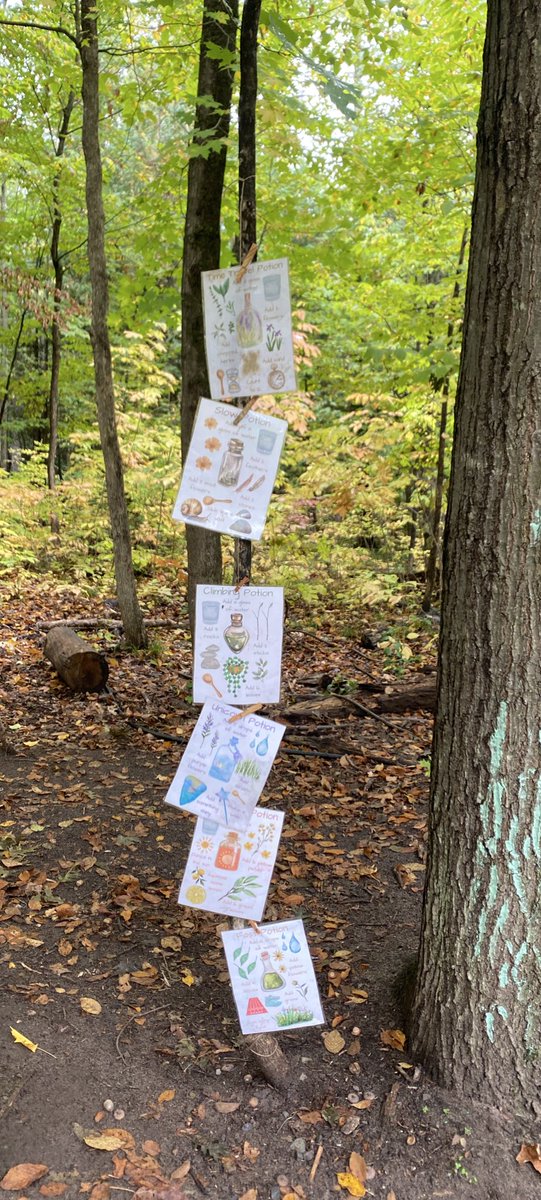 Kristina Kramer tweet media