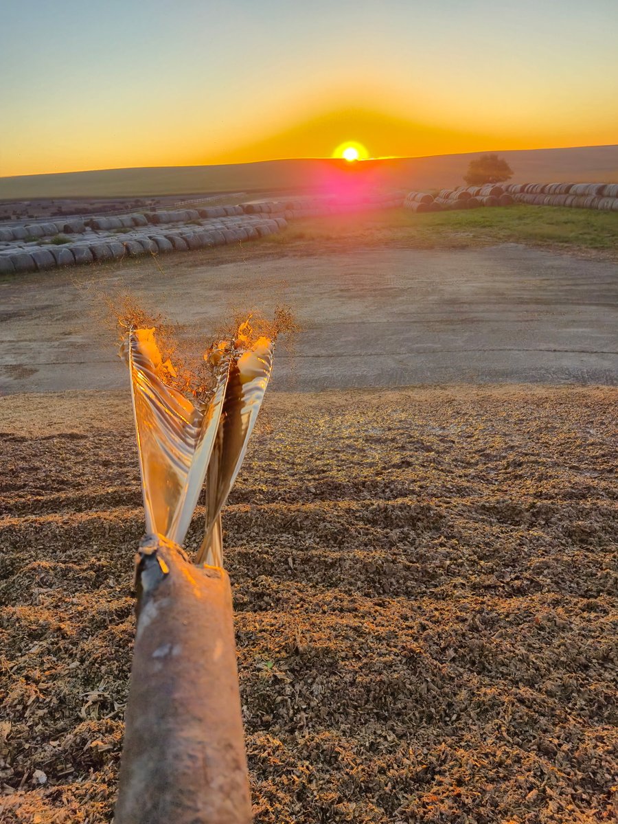 Tarp chat anyone??? Since the cattle futures are in the green I figure ⁦<a href="/sippingsuds/">sUDs for president</a>⁩ will need something else 2 bitch and yell at me for today 🍻