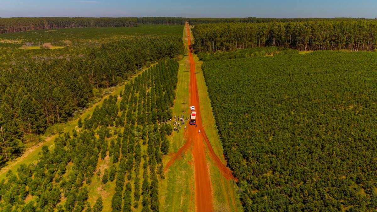 Argentina Forestal tweet media