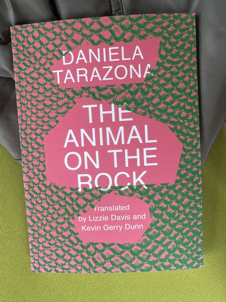 Alina Stefanescu tweet media