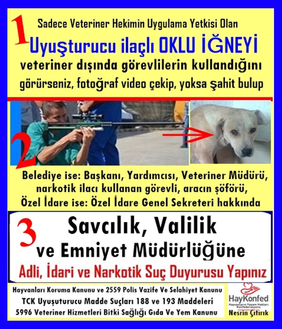 haydarozkan06's tweet image. ‼️ÖNEMLİ BİLGİLENDİRME ve DUYURU‼️

 📌1-"UYUŞTURUCU İLAÇLI OKLU İĞNE" ile Köpek Yakalamada, Uyuşturucu İlaçlı İğne Aparatını SADECE VETERİNER HEKİMLER kullanabilir. (Kanun 5996 / Madde 13/3 ve Madde 14/2).

 📌2- Veteriner hekim dışında, bir başkası oklu uyuşturucu iğne atarsa,…