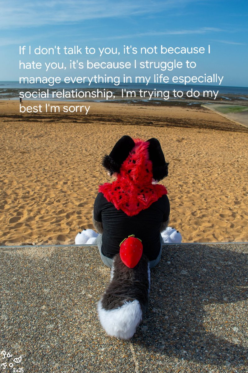 Important note :

📸: <a href="/PacifyUwU/">Pattecify Fonce #FCD6 (slow reply)</a>
#FursuitFriday #saikasuits