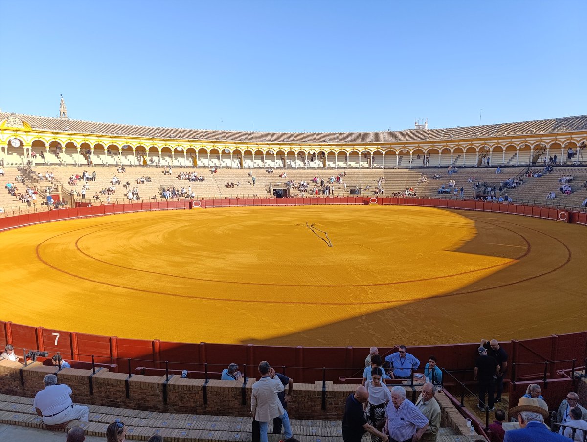 Al toro que es una mona. Suerte para todos.