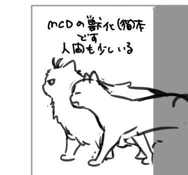スペ番が出ました!名前の通りです
普通に全然新刊は真っ白でやばいんですけど 何かは出ます………………
あと過去の本もちとだけ再版します(机の上を埋めるため) 