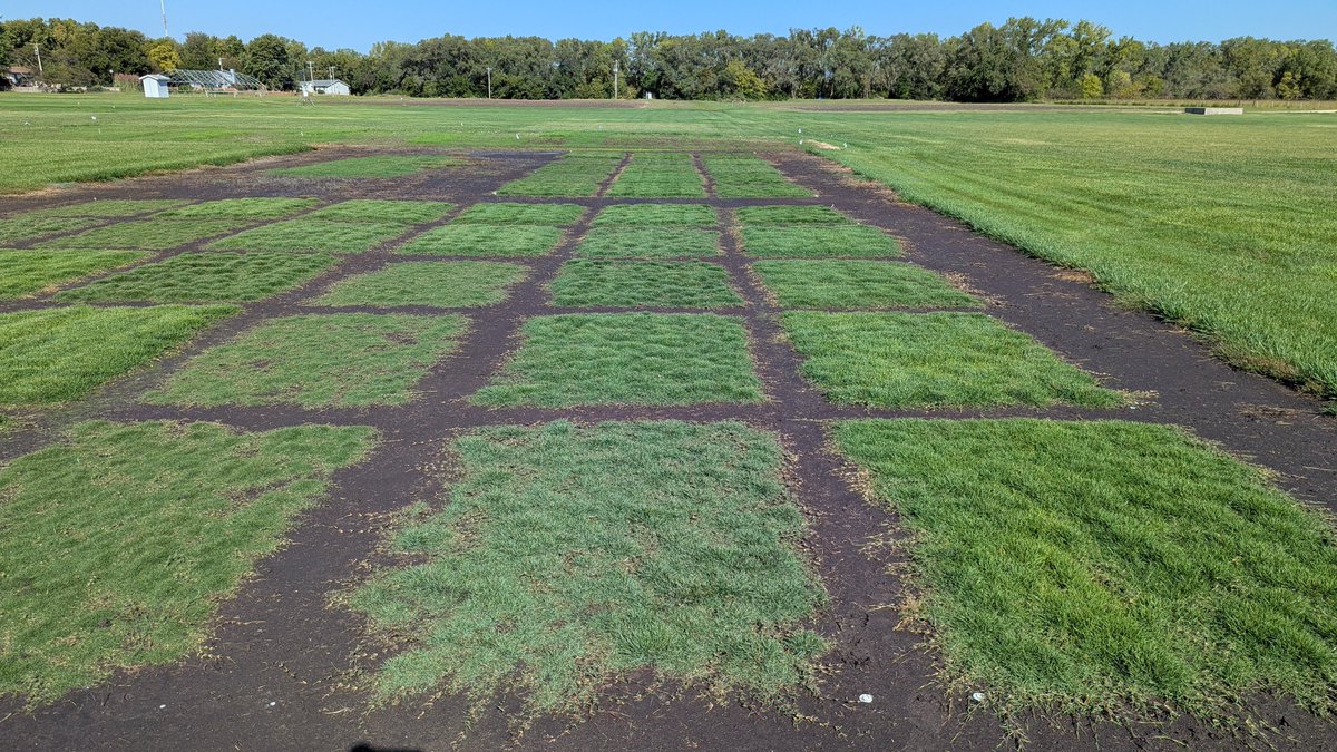 Ross Braun tweet media