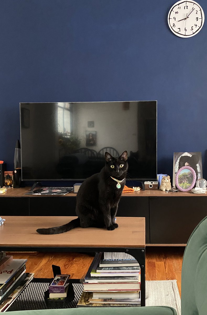 Lulú Molina tweet media