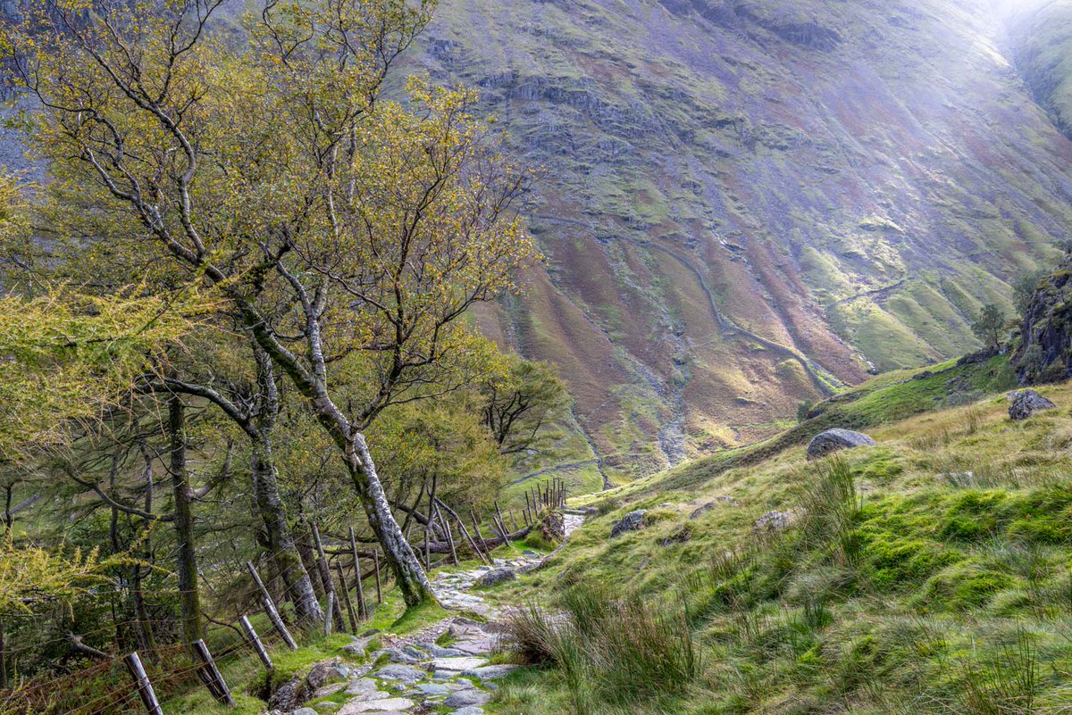 andrewswalks's tweet image. Today&apos;s walk up Seathwaite Fell #lakedistrict