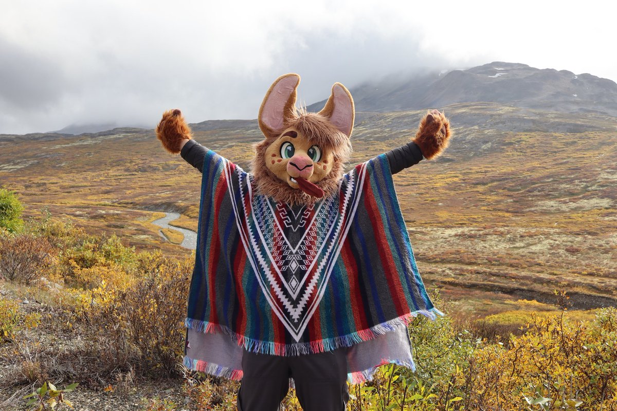 CarthLlama's tweet image. I love autism, the colours are so pretty

#FursuitFriday