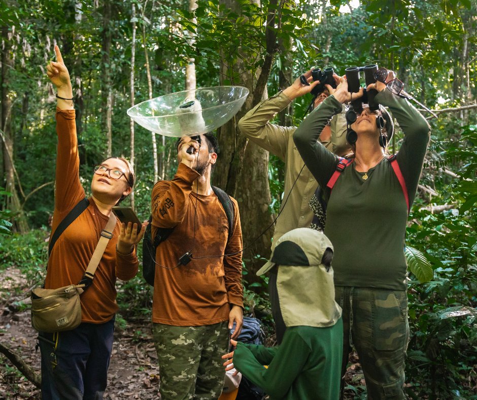 Proud to see Wired Amazon recognized as a leading conservation, research &amp; citizen science program in the Peruvian Amazon.

Since 2016, we’ve discovered 30 new species, identified 25 jaguars &amp; empowered communities through ecotourism + science.

Article ➡️ hubs.ly/Q03L9xRG0