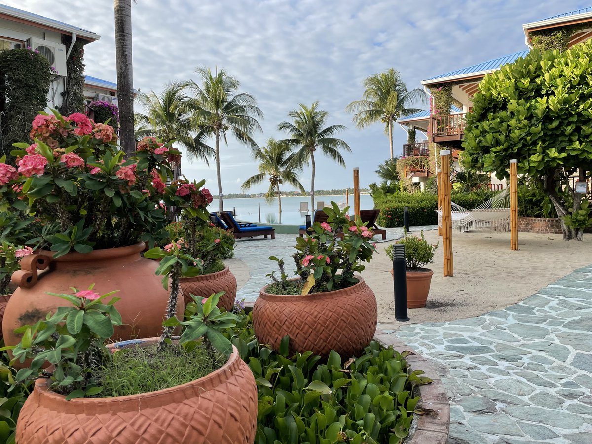 Escape to Belize in 2026! It’s never too early to start planning your dream vacation. Secure your stay at our beautiful beachfront villas and get ready for the getaway of a lifetime. The countdown begins now. 🗓️✈️ #Belize2026 #DreamVacation #ChabilMar