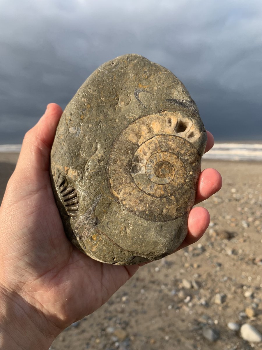 Dean Wilson tweet media