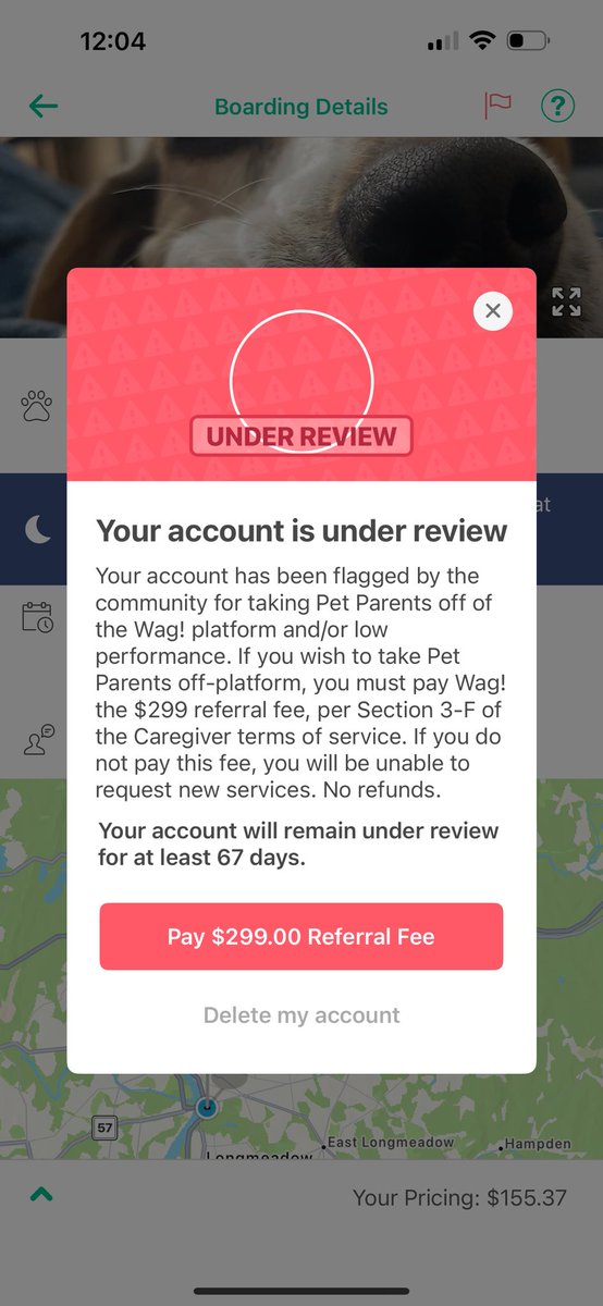 PurrAnna 🩵 tweet media