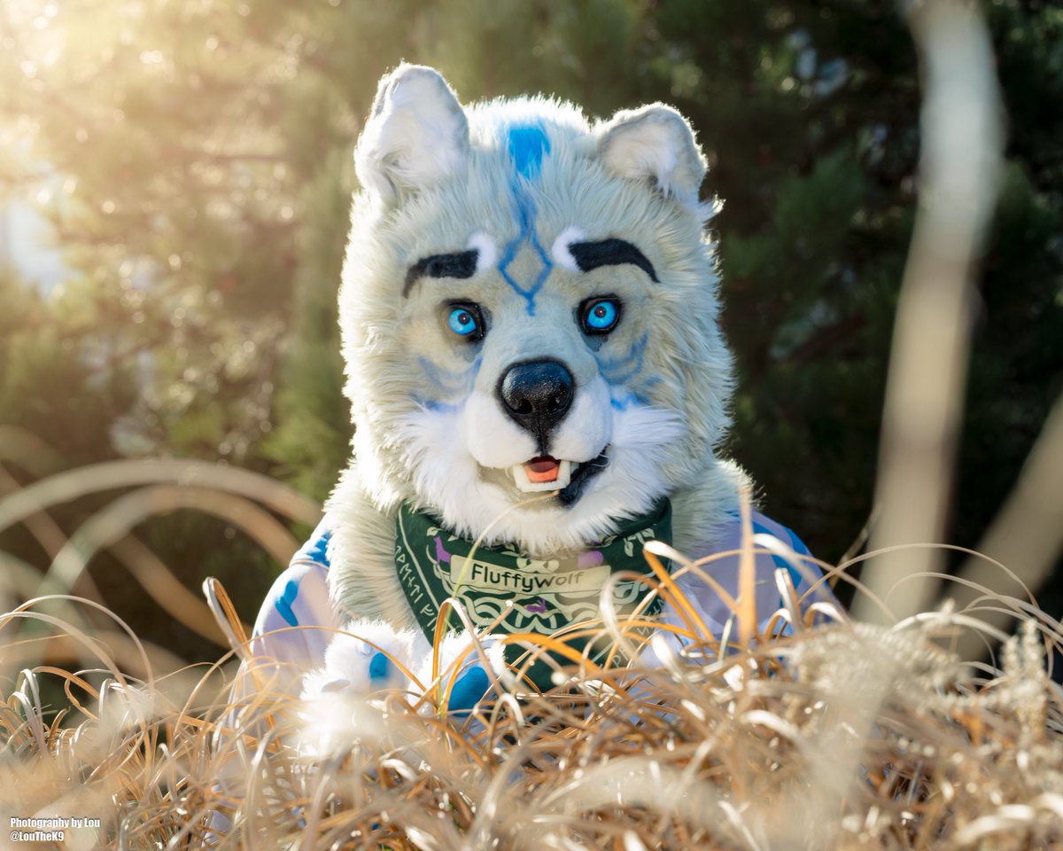 Hidden wolp waiting for a chance to Strike :3
#fursuitfriday
📹 <a href="/LouTheK9/">💚Lou🤎</a>