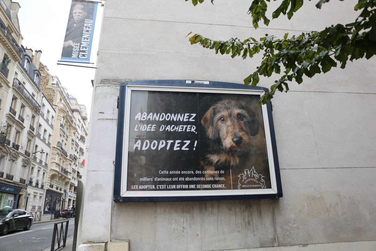 #Adoption
🐾 Notre campagne d’affiche sur plus d’un millier de panneaux
Depuis hier, notre message "Abandonnez l'idée d'acheter, adoptez !" s'affiche sur plus d’un millier de panneaux en France et dans le métro parisien.
Dans le métro, aux arrêts de bus, sur les abribus, partout