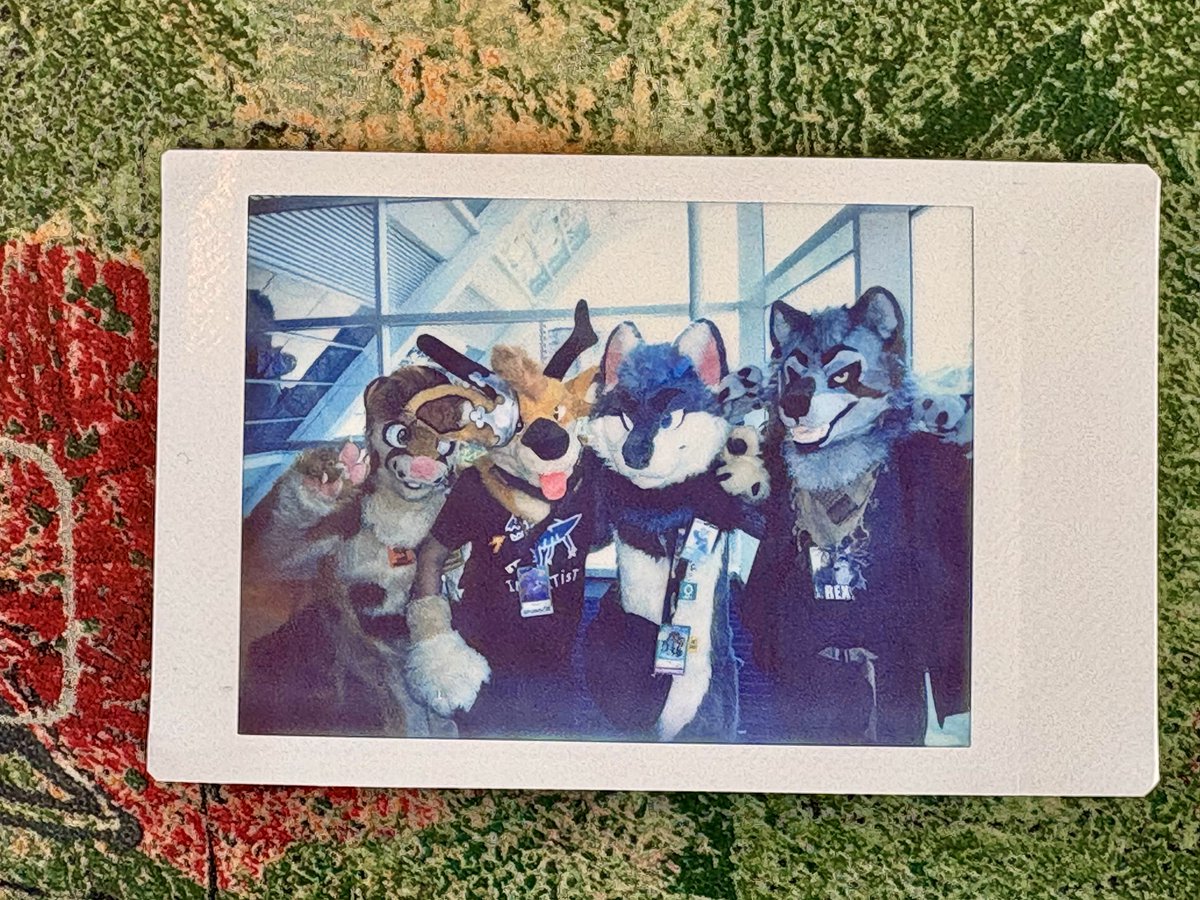 prongl_'s tweet image. Boy summer 

📸 @Alphfur