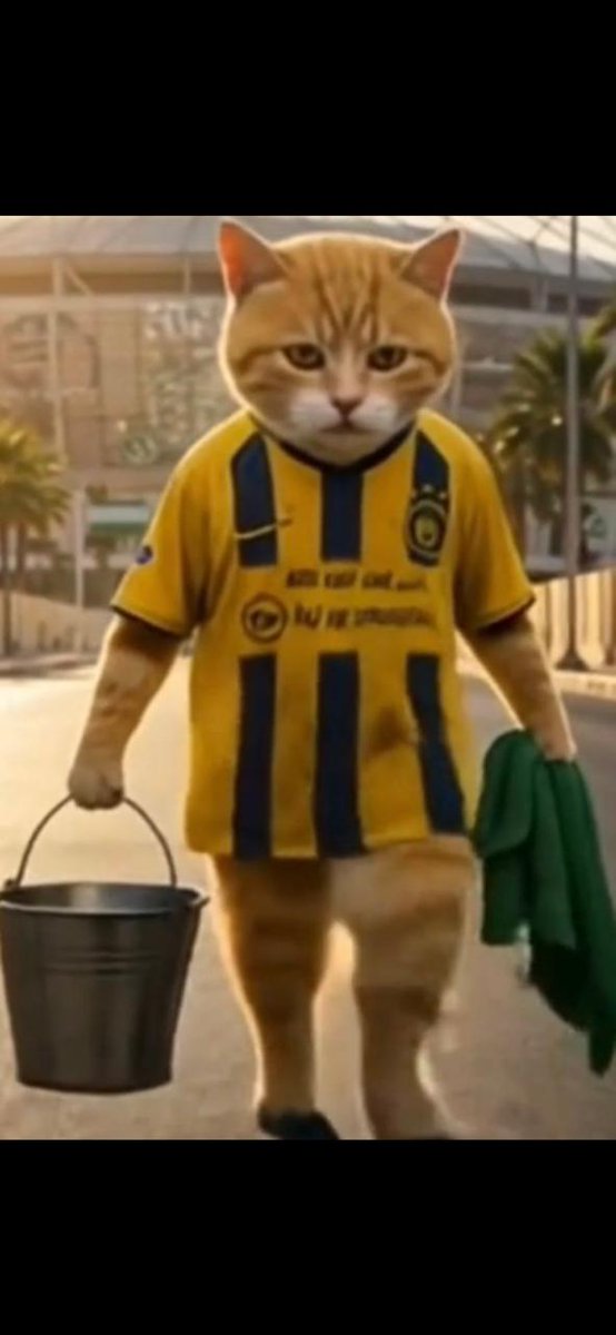 🇸🇦 ابو محمد الملكي🇸🇦 (@hishamsiyad) on Twitter photo 