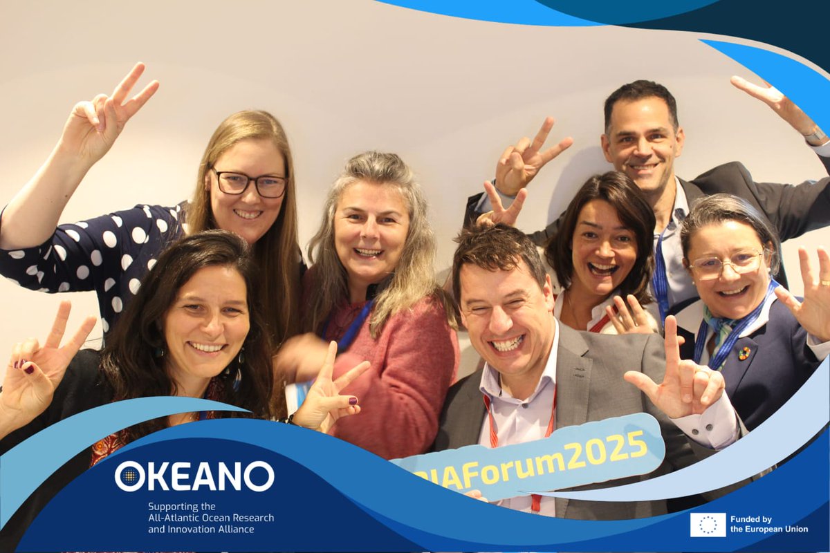 BlueMissionAA tweet media