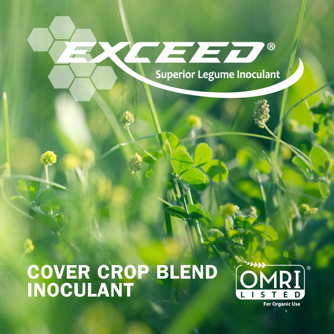**Exceed Cover Crop Blend Inoculant** 
Treats more than 96 varieties of seed including clover, vetch, peas &amp; more. Coat the seed, plant the seed, and watch your cover crop thrive.
For more information, contact your local dealer or call us at 940-264-0343.
bit.ly/4nS9lZc