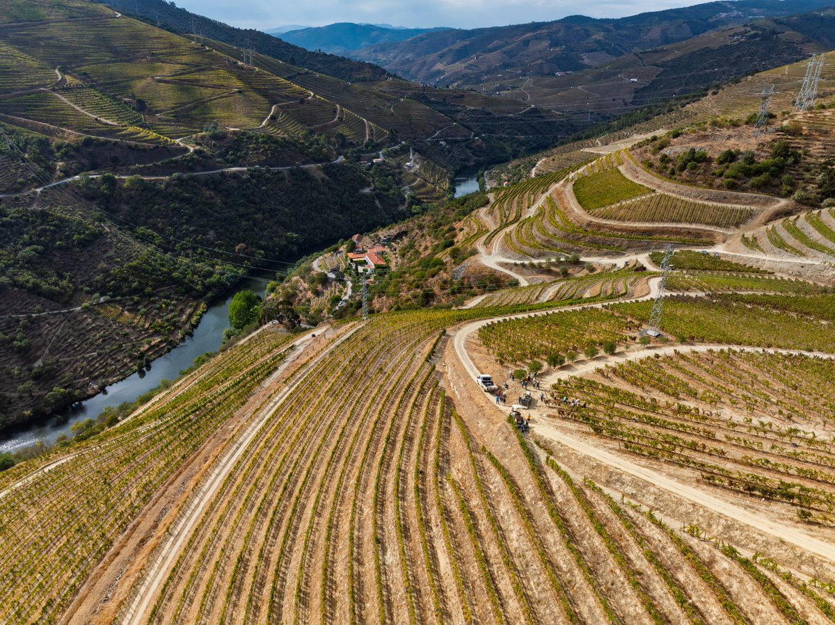 The 2025 harvest comes to an end, closing a chapter of resilience, with weeks of extremes, reminiscent of the legendary summer of 2003.

A challenging year, a vigorous Douro and Port wines that promise to be legendary.

//

#FonsecaPort