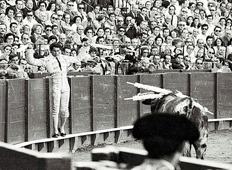 #41SinPaquirri
#41SinPaquirri
#EternoPaquirri