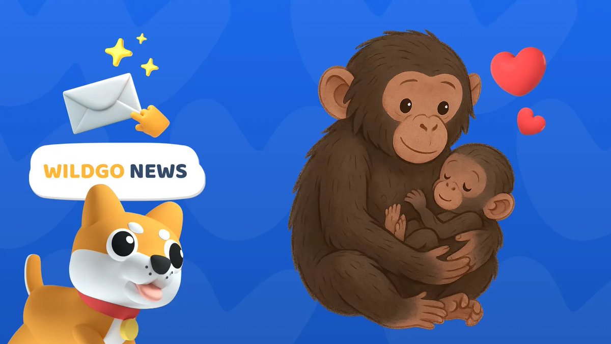 WILDGO tweet media