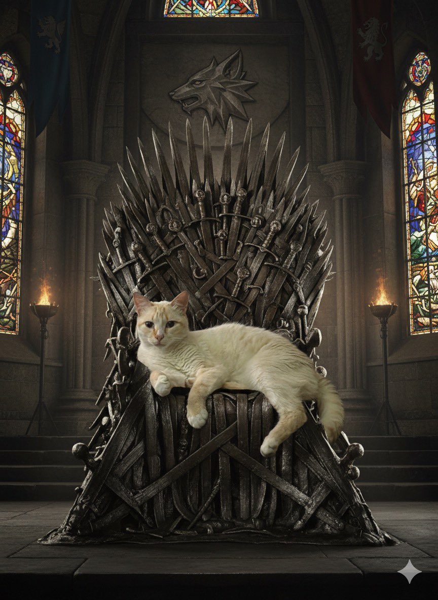Ustedes haciendo autorretratos en Gemini y yo mostrando la pureza y supremacía de mi gato