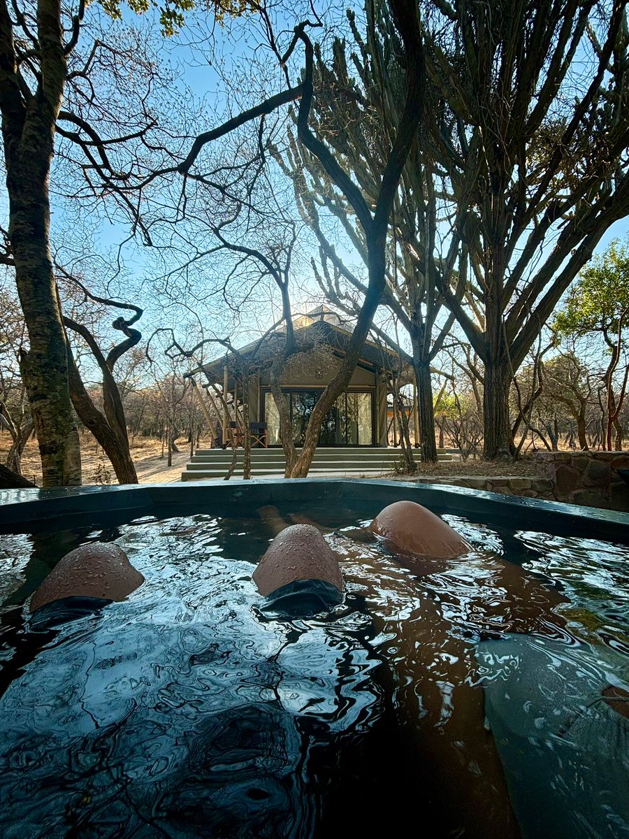 VictorMalaza's tweet image. Flew her out, just to fly her further out♥️