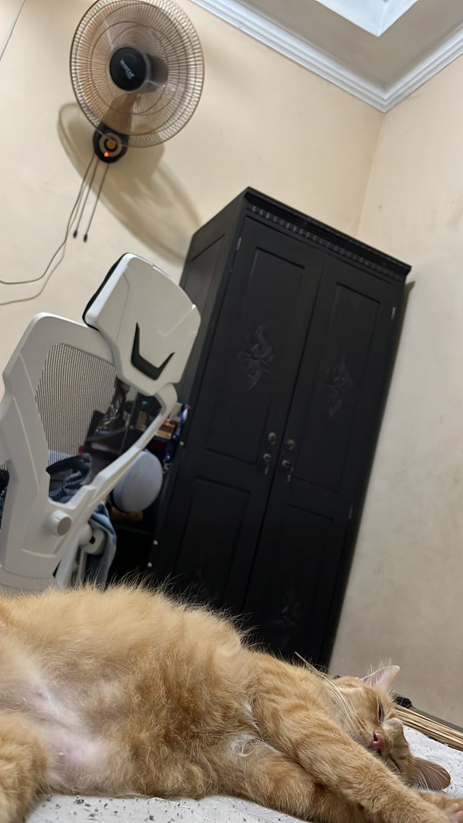 Tidur nyenyak kalo ketemu kipas