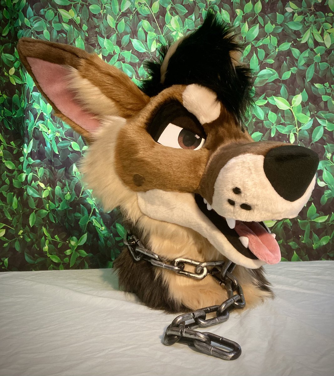 MadebyPaws's tweet image. ✨New premade drop!🧡This handsome Gshep is ready for adventure! Head/hand size fits most. Great vision an ventilation. Puffy handpaws, tail, prop chain/bone an goodiebag included.Taking Offers! Please DM for more info! Shares=❤️ #fursuitforsale #fursuitmaker #FursuitFriday