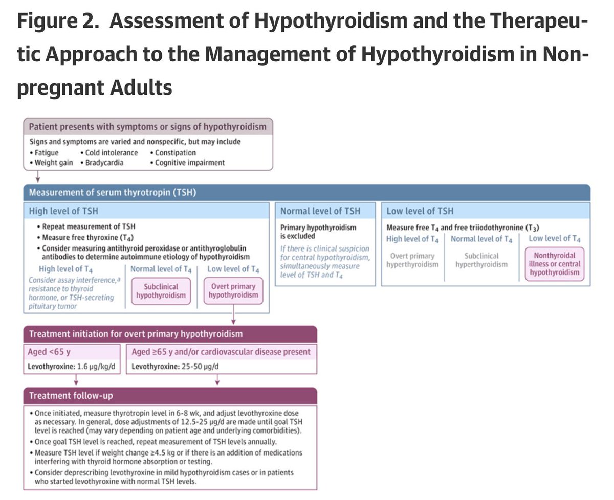 ✅ قصور(كسل)الغدة الدرقية هو مرض ناتج عن نقص إفراز هرمونات الغدة الدرقية. 
يتراوح معدل انتشاره بين 0.3% و12% عالمياً حسب كمية اليود في المنطقة وهو أكثر شيوعًا لدى النساء وكبار السن. 

 ❇️ تصنف أكثر من 99% من حالات قصور الغدة الدرقية على أنها قصور أولي. 
ويُعزى قصور الغدة الدرقية