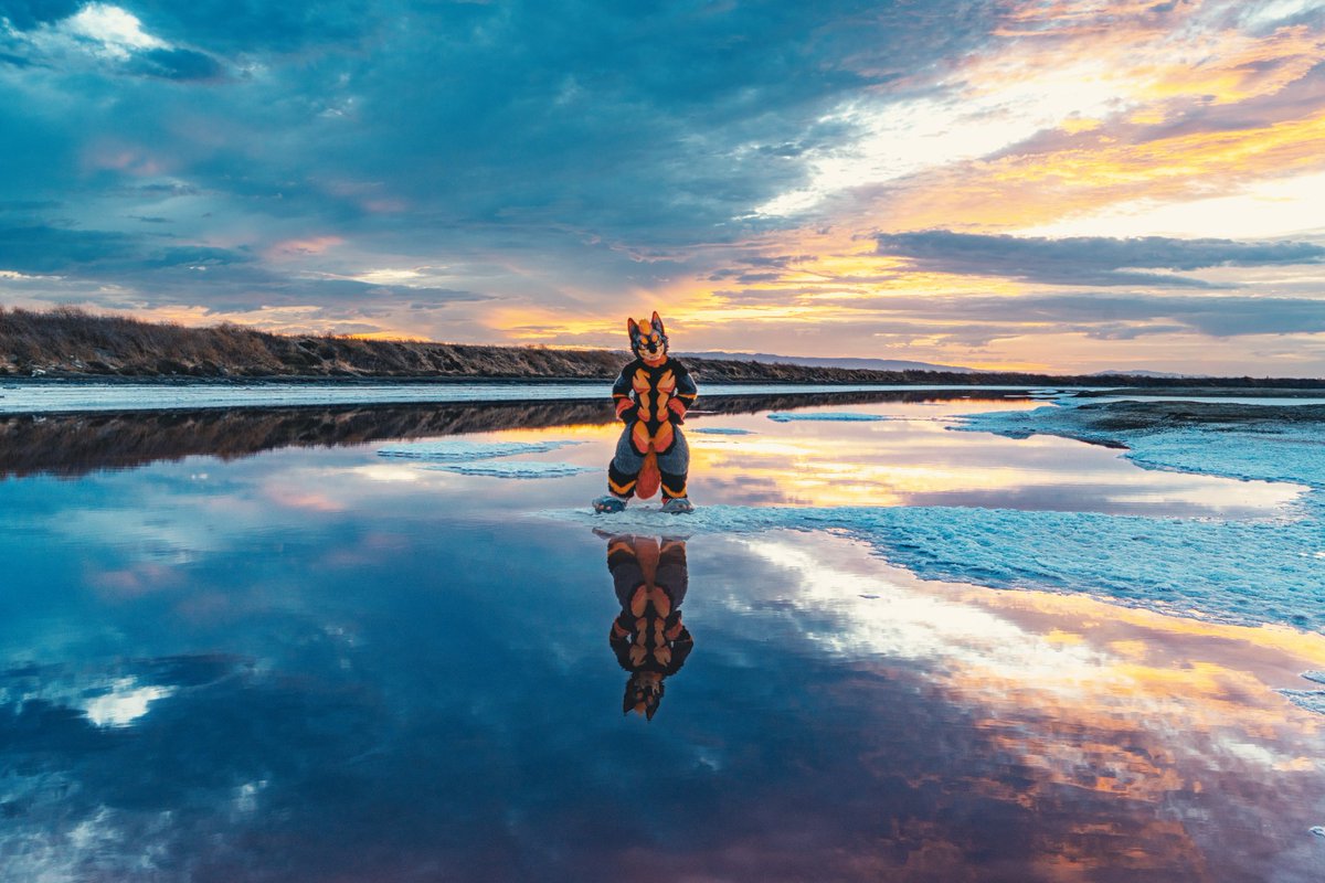 ＭＩＧＯ💢⃤•ミーゴ•미고 tweet media