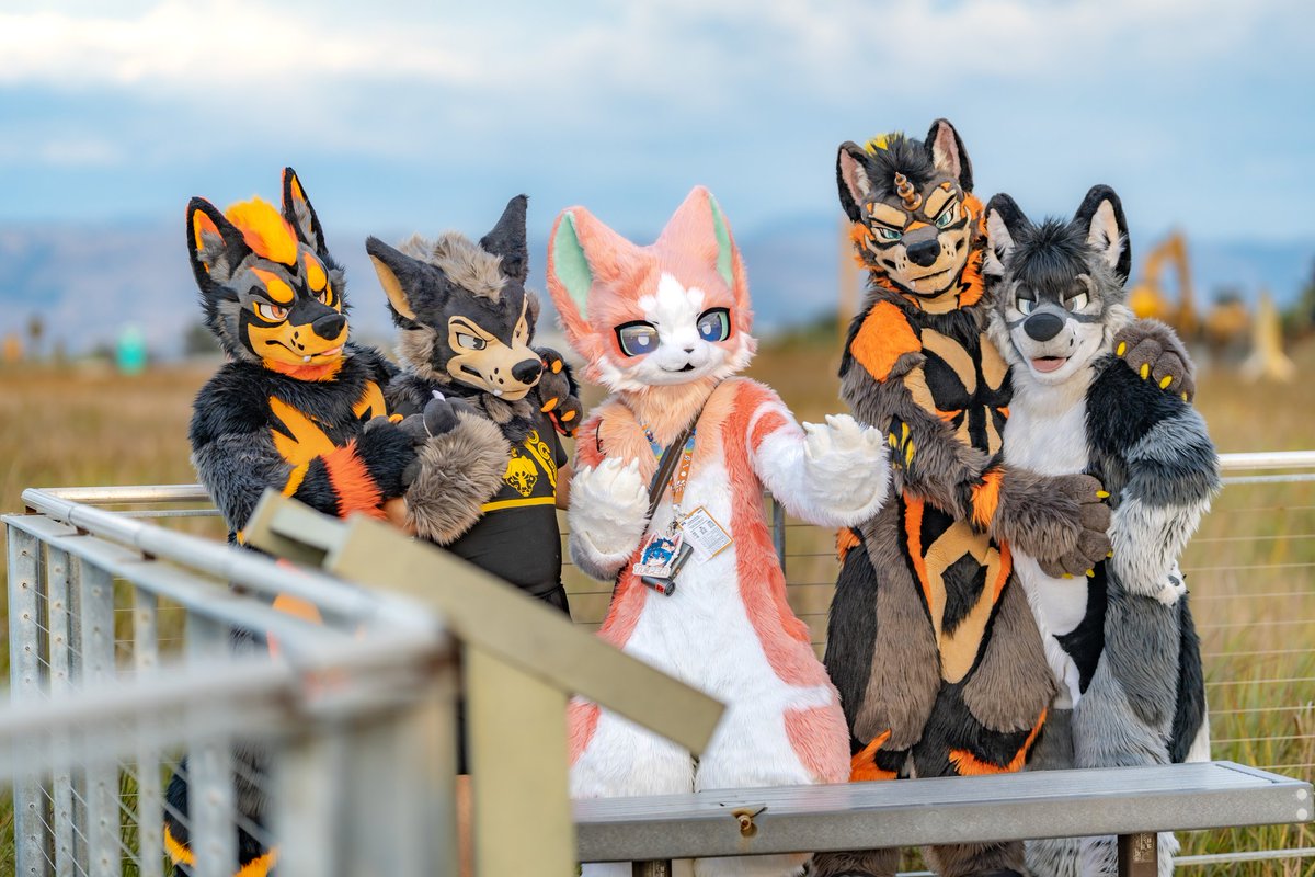 ＭＩＧＯ💢⃤•ミーゴ•미고 tweet media