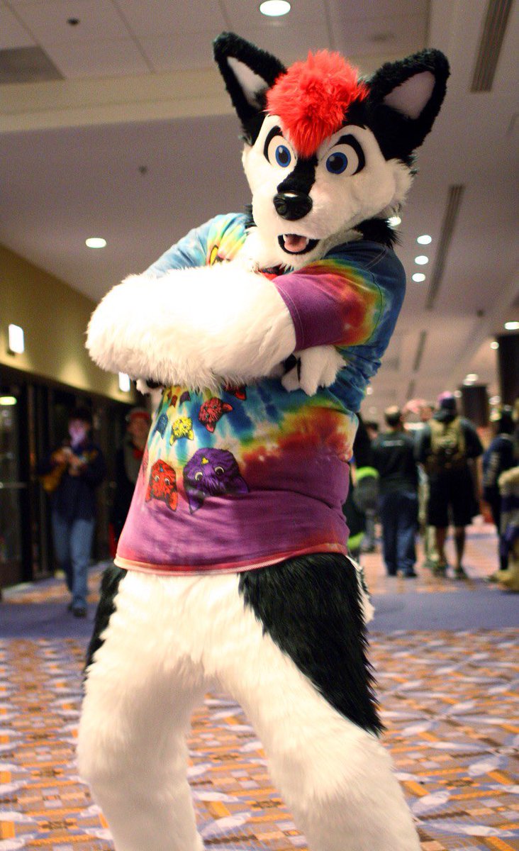 DarrohHuskers's tweet photo. always judging 
#FursuitFriday

go buy a cassette c:
https://t.co/1EBBPkmXSw https://t.co/j1TQbapsil