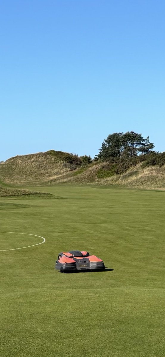 Life on the Links tweet media