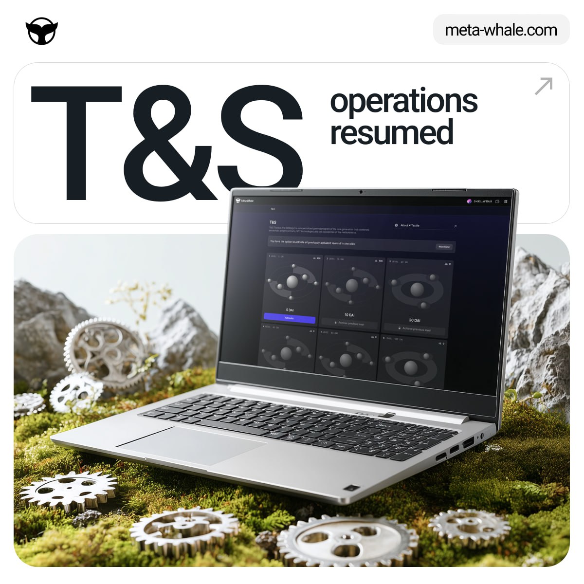T&amp;S is Back Online

Our team has successfully completed the works on T&amp;S.
The service is now fully operational, all features are available.

T&amp;S is ready to move forward stronger than before