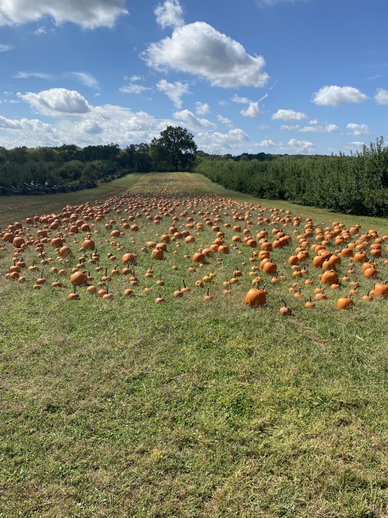 MerkyTFT's tweet image. Could be missing my 4-2 roll down right now