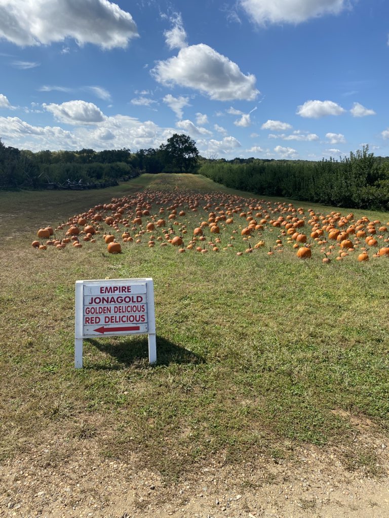 MerkyTFT's tweet image. Could be missing my 4-2 roll down right now