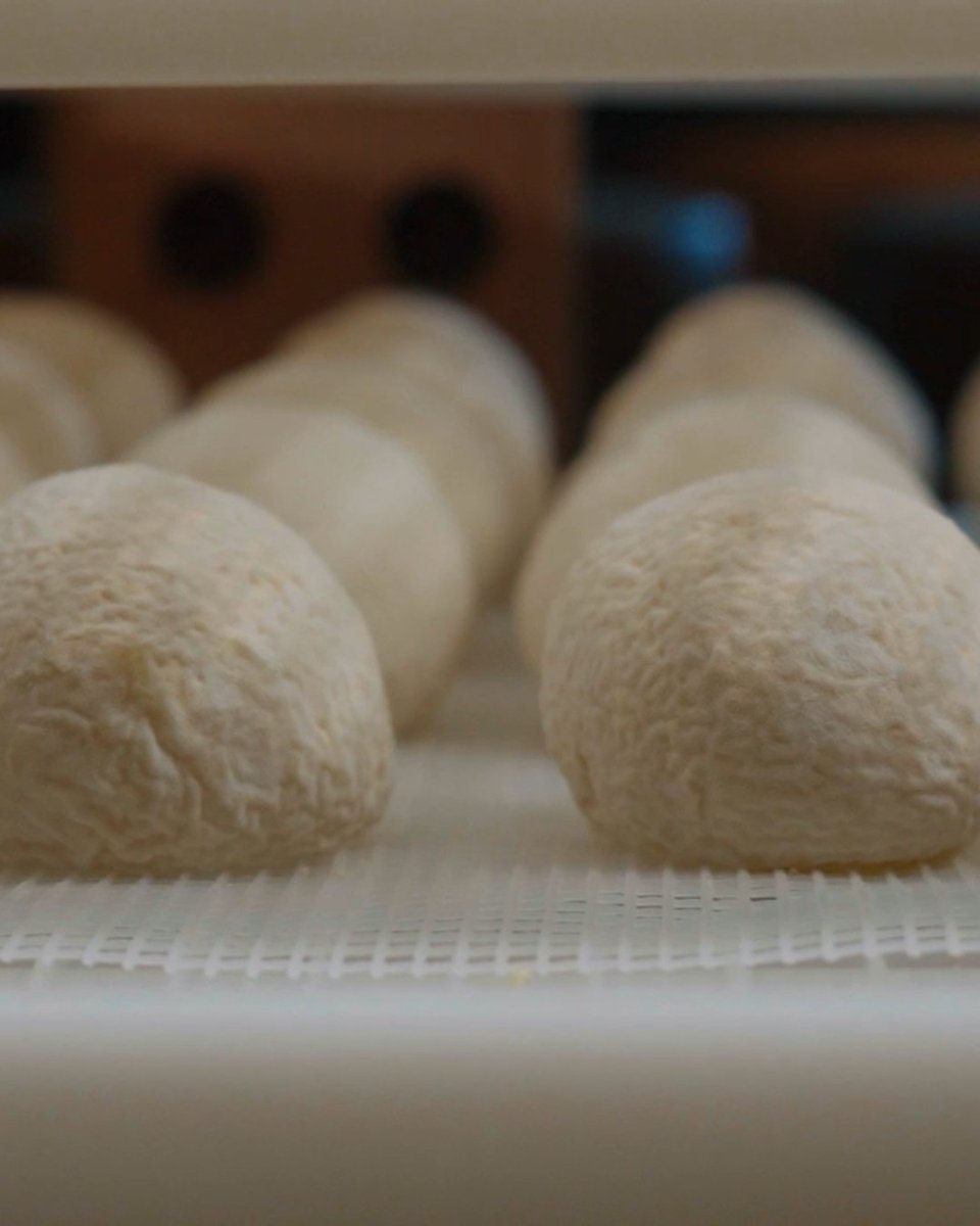 cabountiful's tweet photo. New #CBTV Episode Alert!🧀
 
From creamy buffalo mozzarella in Sonoma to British-style cheddar in Sebastopol, plus goat and sheep cheeses in Marin and Cambria, we’re seeing (and savoring) it all.😋

Tune in this weekend for a taste of California’s finest dairy creations!!📺 https://t.co/65YKmowh7V