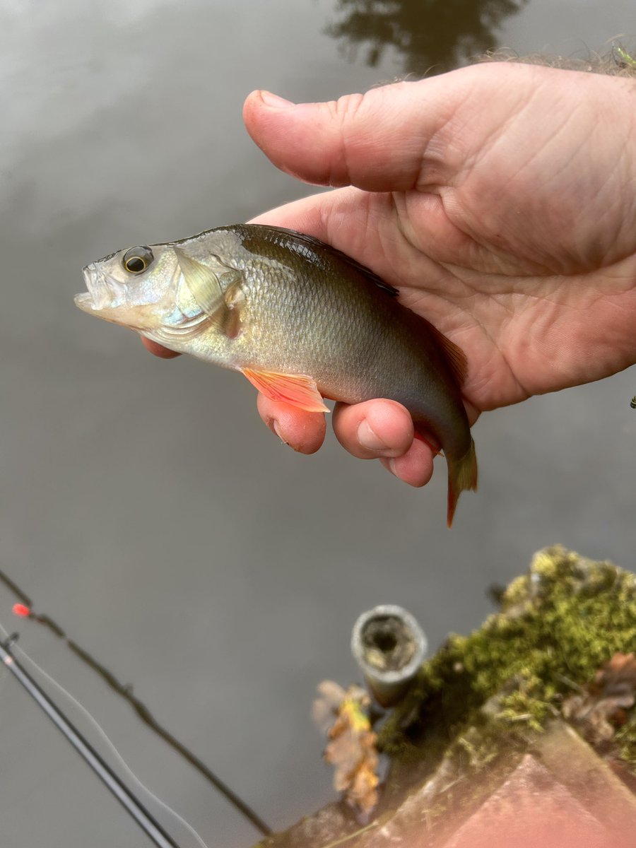 Beautiful day for it.