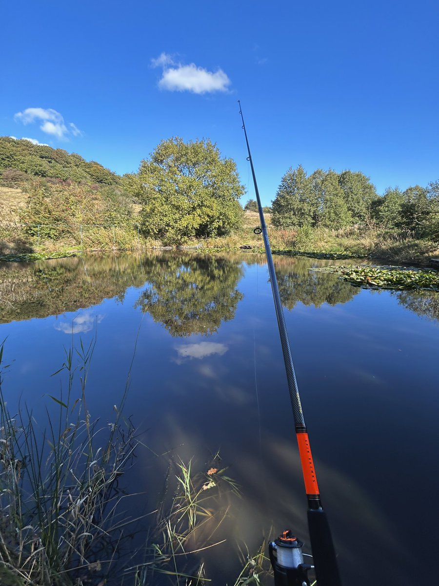 Callum Saunders tweet media