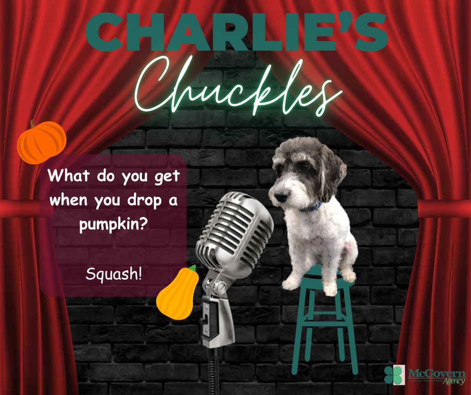 Happy Friday Everyone! Charlie has a SMASHING joke to share! #charlieschuckles
